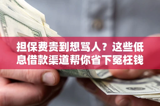 北京担保费贵到想骂人？这些低息借款渠道帮你省下冤枉钱