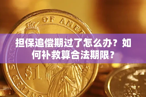 北京担保追偿期过了怎么办？如何补救算合法期限？