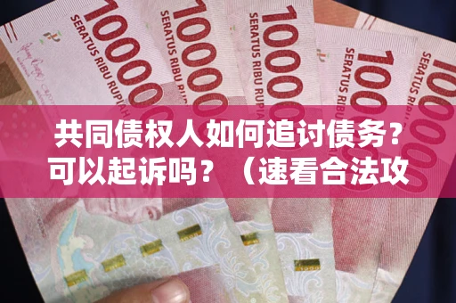 北京共同债权人如何追讨债务？可以起诉吗？（速看合法攻略）