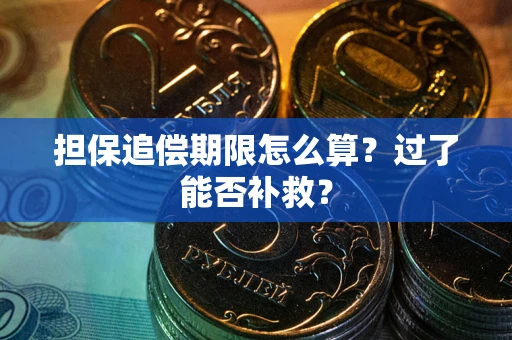 北京担保追偿期限怎么算？过了能否补救？