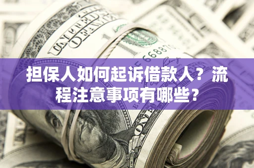 北京担保人如何起诉借款人？流程注意事项有哪些？